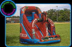 Giant Dragon slide $429.00 DISCOUNTED PRICE Giant Dragon slide $429.00 DISCOUNTED PRICE